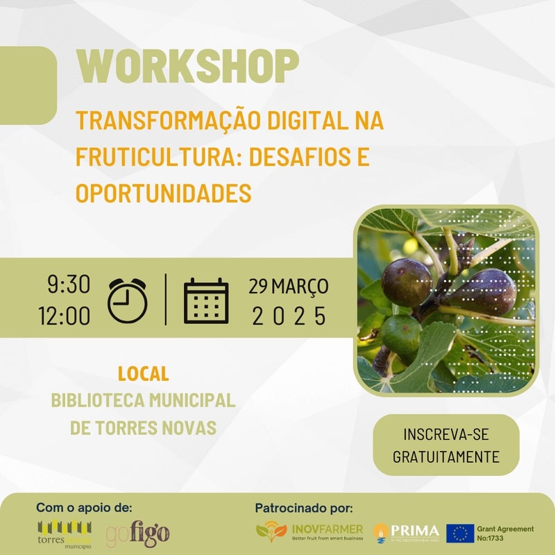 Worshop Transformação Digital na Fruticultura